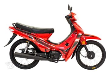 Phoenix 50